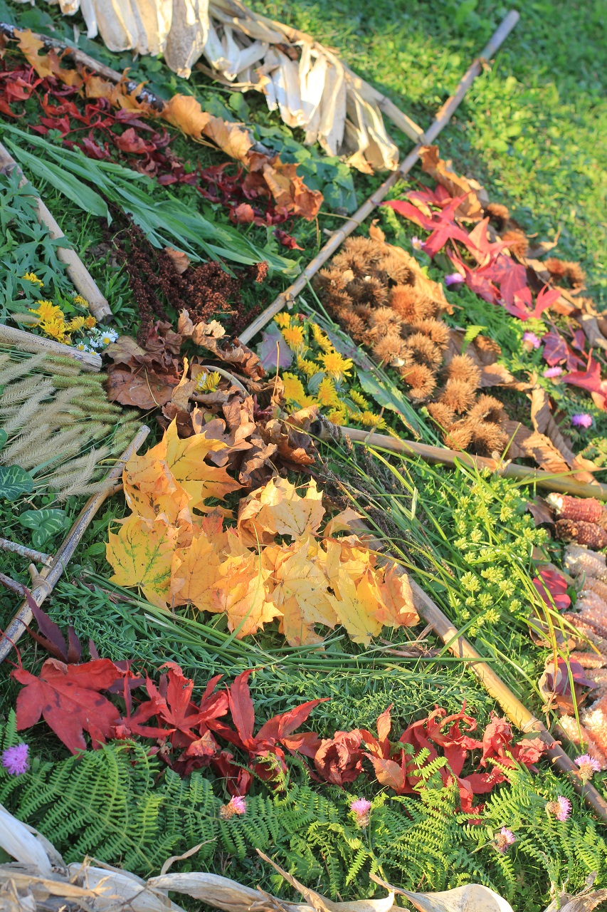 atelier-cueillette-automne-la-cuisine-des-emotions atelier-cueillette-automne-la-cuisine-des-emotions