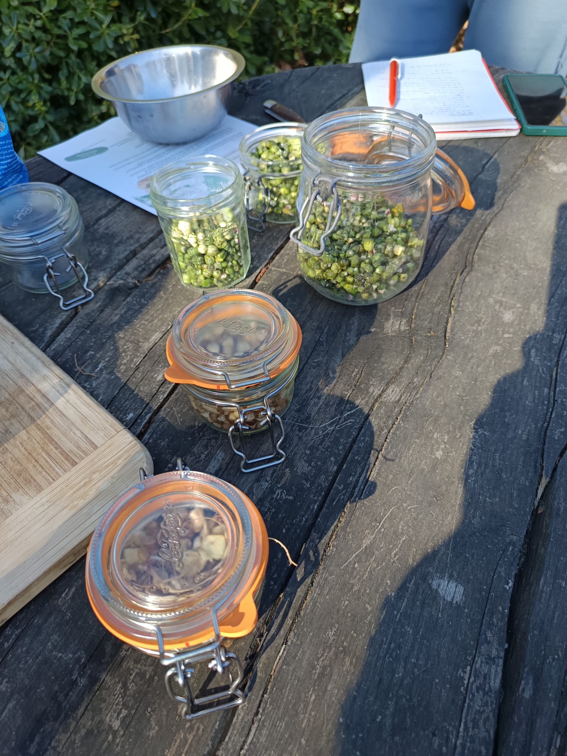 fermentation-plantes-atelier fermentation-plantes-atelier