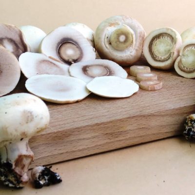 champignon-recette-blog-la-cuisine-des-emotions