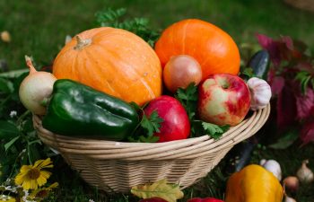 atelier-cuisine-vegetarienne-la-cuisine-des-emotions atelier-cuisine-vegetarienne-la-cuisine-des-emotions